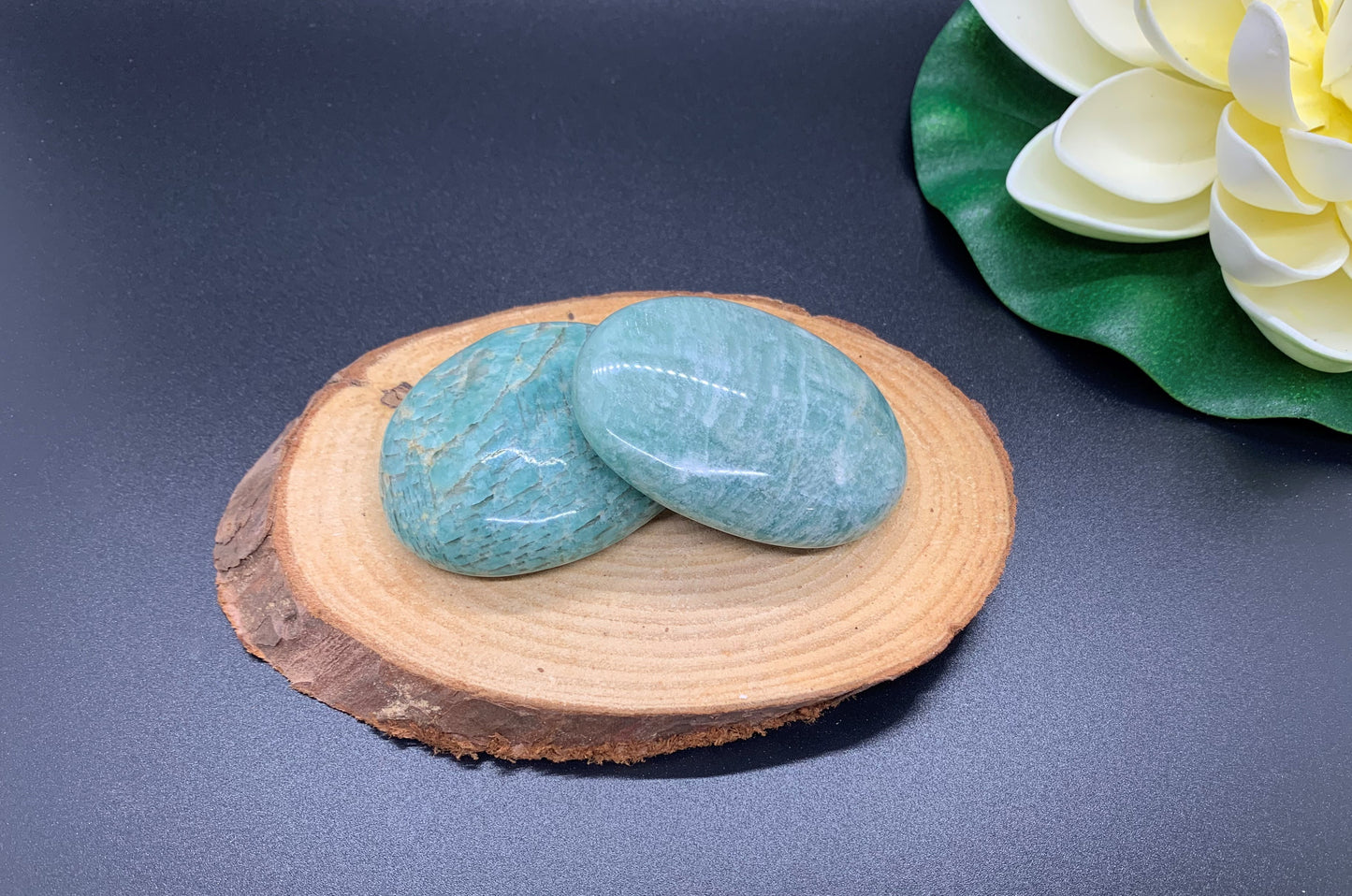 Amazonite Palm Stone (LG)