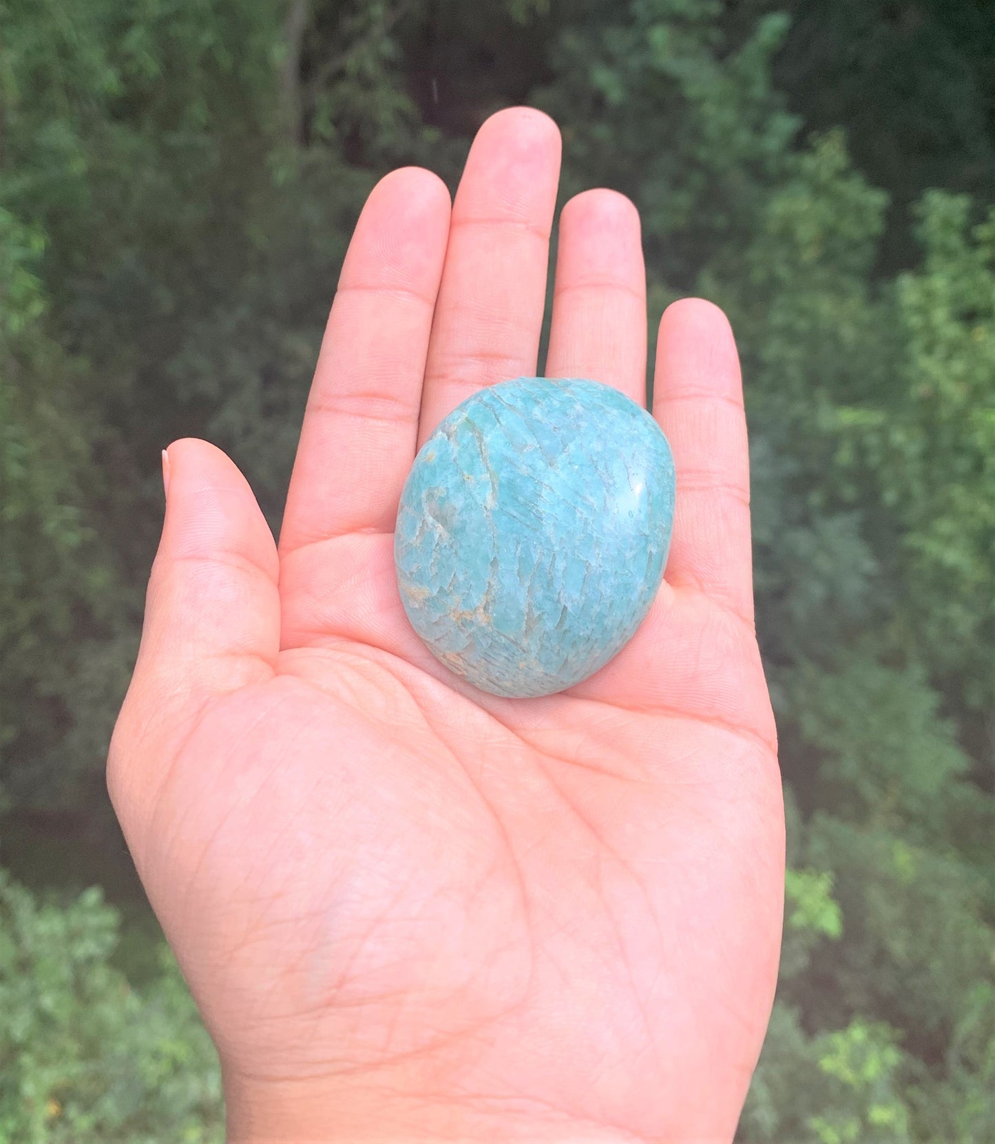 Amazonite Palm Stone (LG)