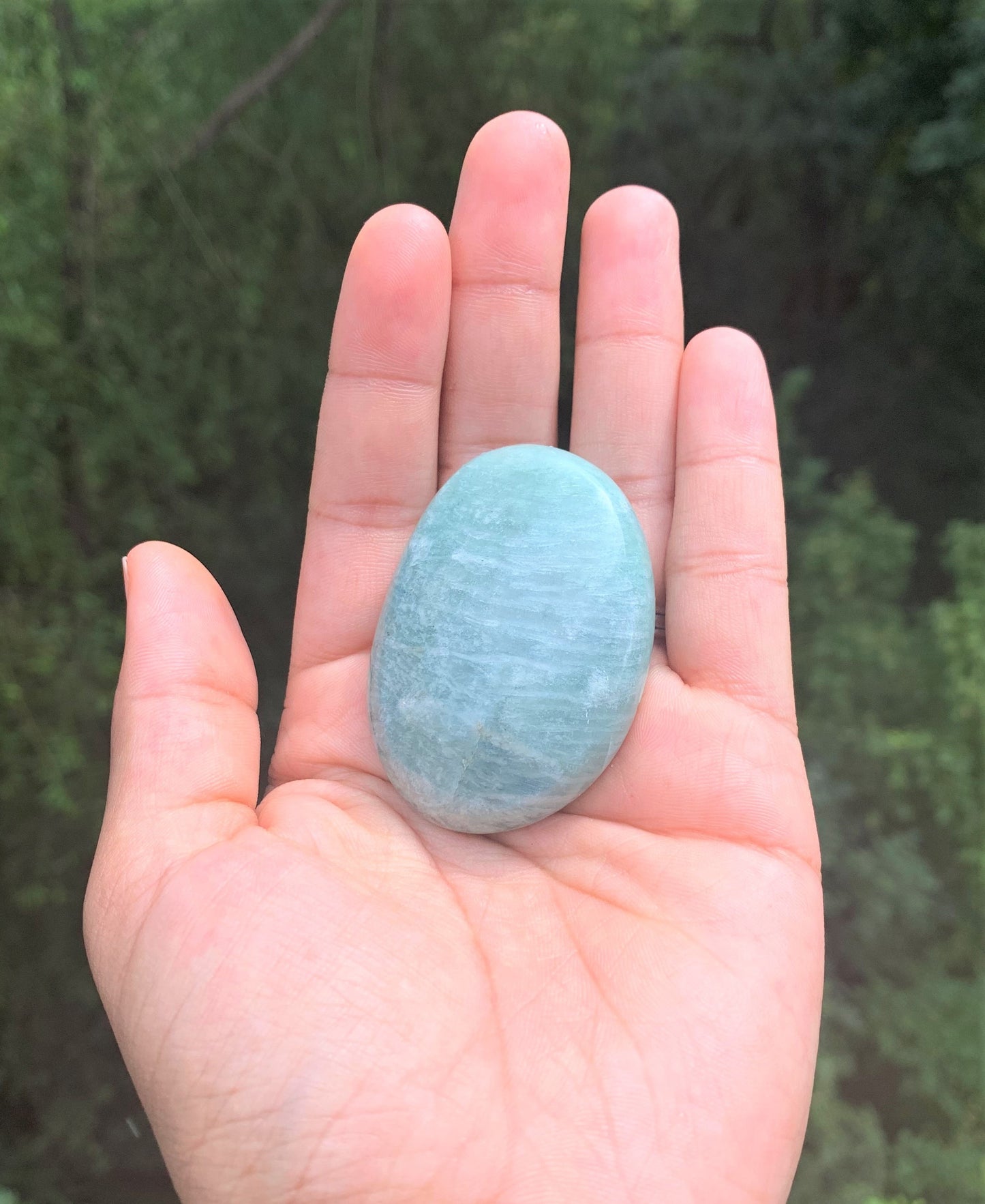 Amazonite Palm Stone (LG)